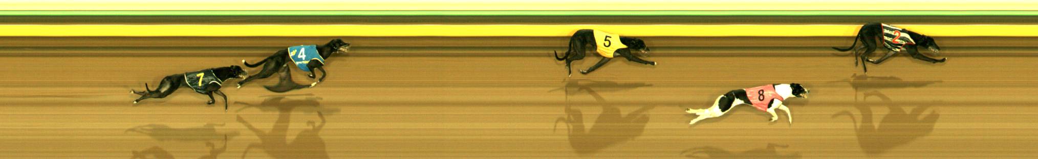 Race result finish photo
